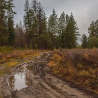 Конец ноября :: Владимир Новиков