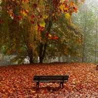 В ожидании :: Юрий. Шмаков