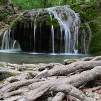 Природа Крыма :: Amazing Cosmea