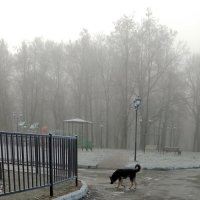 *** :: Валентина Береснева