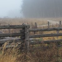 Подмосковные Пейзажи :: юрий поляков Подмосковные Пейзажи :: юрий поляков