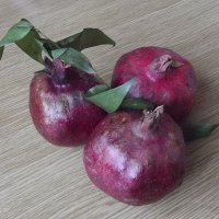 Гранаты :: Freddy 97