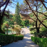 Адлер. Дендропарк "Южные культуры" :: Нина Бутко