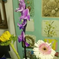 114 (193) :: CLOSE WAYS ALL