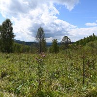 На перевале :: Валерий Медведев