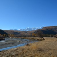 Чуя :: Валерий Медведев