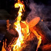 Огонь :: Елена 