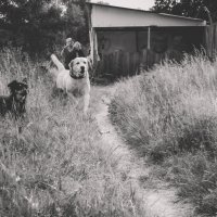 На чужой территории (чб) :: Сергей Царёв