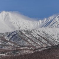 ... :: Жора Житников