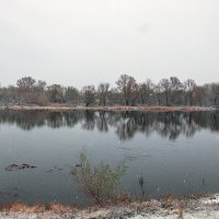 ... :: Светлана Ищенко