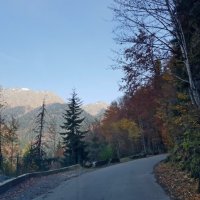 АБХАЗИЯ :: Tata Wolf