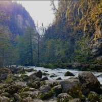 АБХАЗИЯ :: Tata Wolf