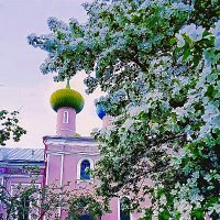 Яблоня возле храма :: Сергей Кочнев