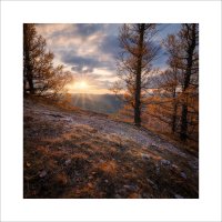 * :: Александр Иванов