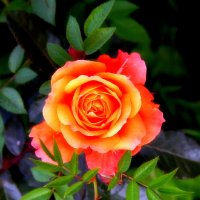 ** :: Vlad Сергиевич