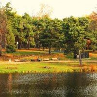 ОСЕНЬ НА ШИБАЕВСКОМ ПРУДУ :: Валентина 