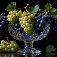 *** :: Aleksey Afonin *** :: Aleksey Afonin