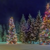 Скоро Новый Год :: Валерий Иванович Скоро Новый Год :: Валерий Иванович