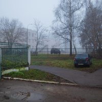 Туманность на улице :: Александр Синдерёв