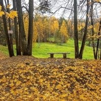 Щёлыково» - музей-заповедник  А. Н. Островского :: Ольга Довженко