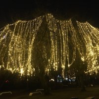 Великие Луки, декабрь 2025... :: Владимир Павлов