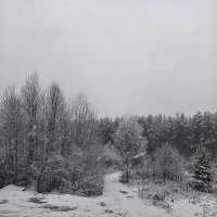 Первый снег :: ura Зелев