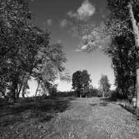 Б/Н :: Николай 