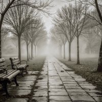 Одиночество вдвоем :: Serg _