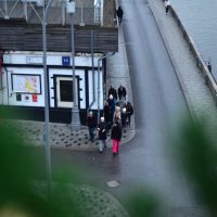 Компания. :: Наталья Вязигина