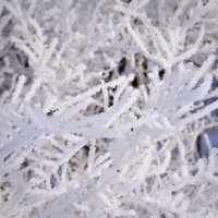 Сказка хрупкая :: Grishkov S.M.