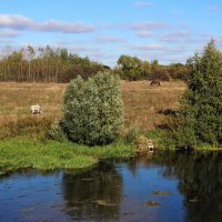 Дон. :: Александр. AVG100 --- Дон. :: Александр. AVG100 ---