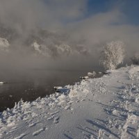 Зимний лебедь :: Сергей Герасимов Зимний лебедь :: Сергей Герасимов