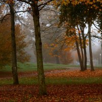 В осеннем парке тишина :: Юрий. Шмаков В осеннем парке тишина :: Юрий. Шмаков