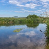 Летнее утро на реке Миасс. г. Миасс, Машгородок (панорама). :: Алексей Трухин