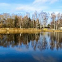 Зеркальное отражение в озёрной глади. :: Милешкин Владимир Алексеевич 
