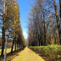 дни осенние :: tatiana дни осенние :: tatiana