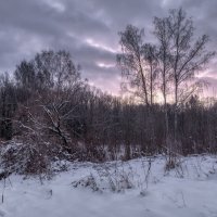Про Питер. Зима. :: Владимир Колесников