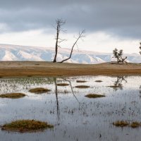 Осеннее одиночество :: Сергей Герасимов Осеннее одиночество :: Сергей Герасимов