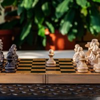 белые начинают и... :: navalon M белые начинают и... :: navalon M