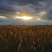 Закат. :: Александр. AVG100 ---