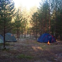 Утро. :: ВикТор Быстров Утро. :: ВикТор Быстров