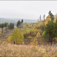 Осень :: **** vedin