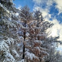 Осень :: Сапсан Осень :: Сапсан