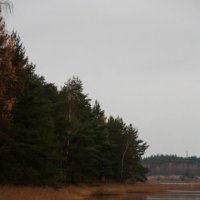 Где-то под Тверью :: Chortyla Где-то под Тверью :: Chortyla