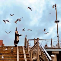 Зеленоградск :: Антон 