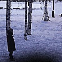 Утро декабря...Песик убежал! :: Владимир 