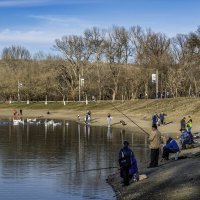 Рыбаки ловили рыбу :: Игорь Сикорский