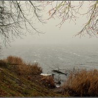 *** :: Aleksandr Gal *** :: Aleksandr Gal