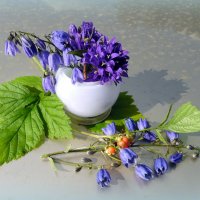 Колокольчики. :: nadyasilyuk Вознюк Колокольчики. :: nadyasilyuk Вознюк