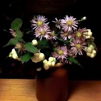 * * * :: Елена * * * :: Елена